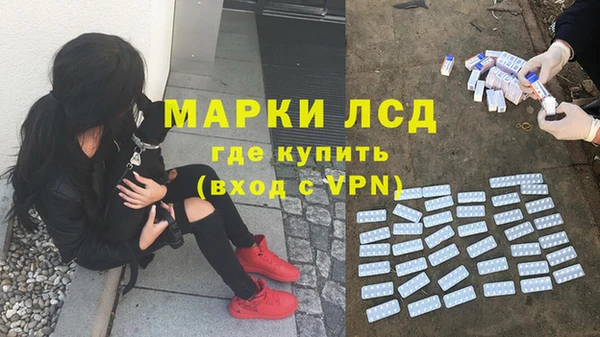 прущий лед Алзамай