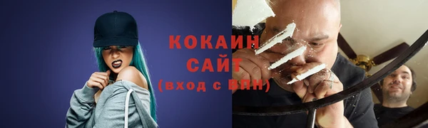 сатива Аркадак