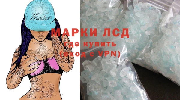 сатива Аркадак