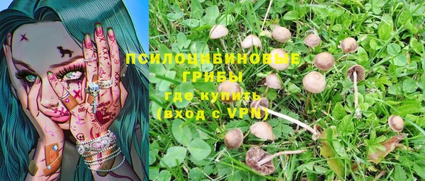 соль курить ск Алексеевка