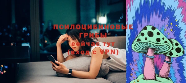прущий лед Алзамай