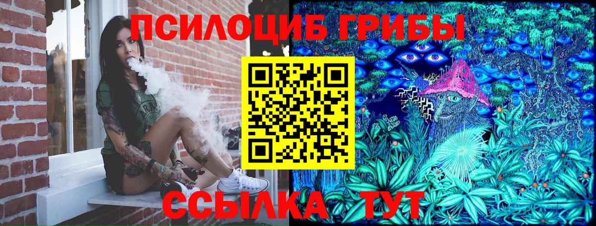 Краснознаменск  Галлюциногенные грибы MAGIC MUSHROOMS  Вход с VPN 