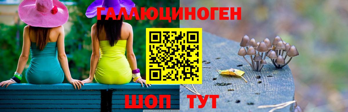 Галлюциногенные грибы MAGIC MUSHROOMS Краснознаменск
